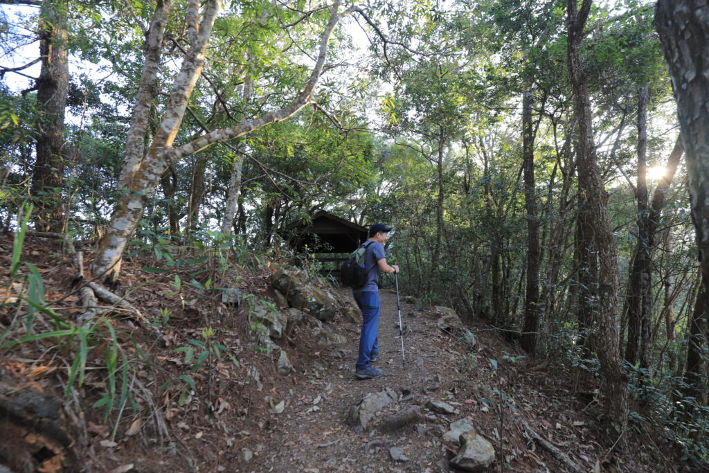 東卯山山徑大部分為森林土徑