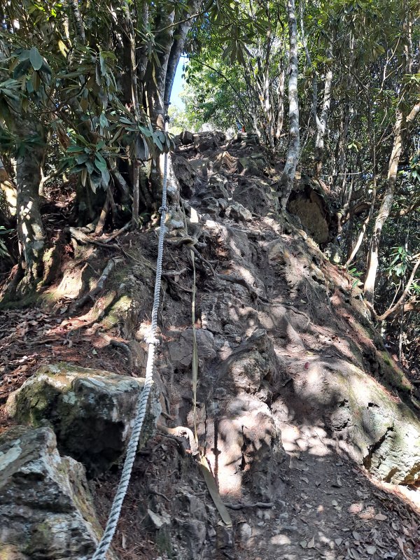 屋我尾山有非常多的攀繩路段