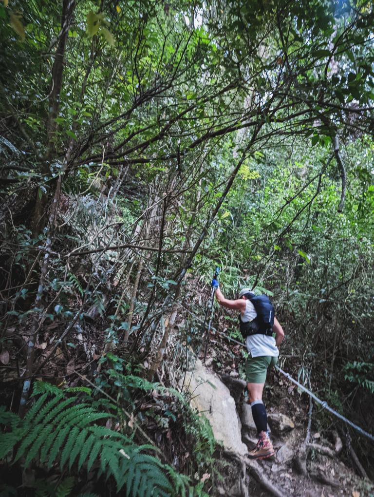 唐麻丹山山徑採點落差極大