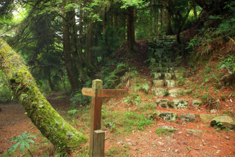 新山國小遺址岔路