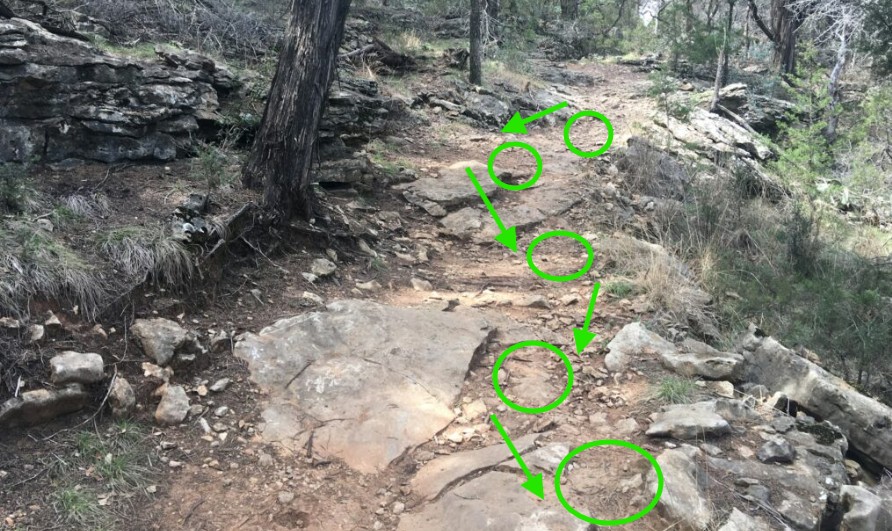 越野下坡需要勇氣及專注力，可先在較平緩的坡度練習找踩點