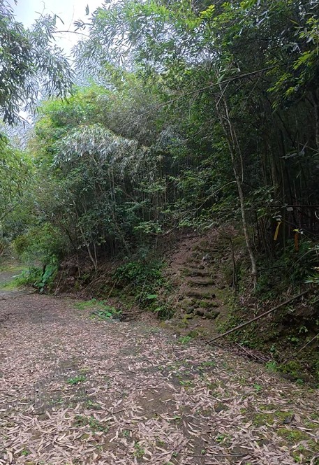 上湖登山口