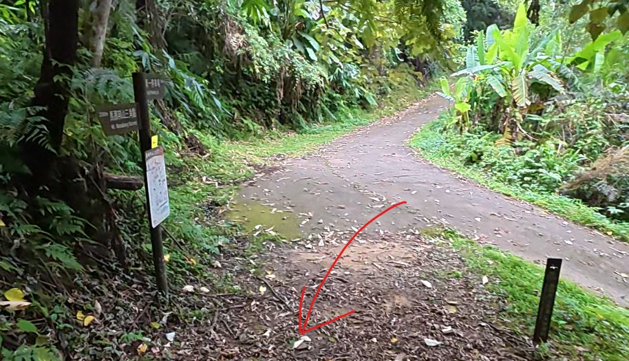 天然湖登山口