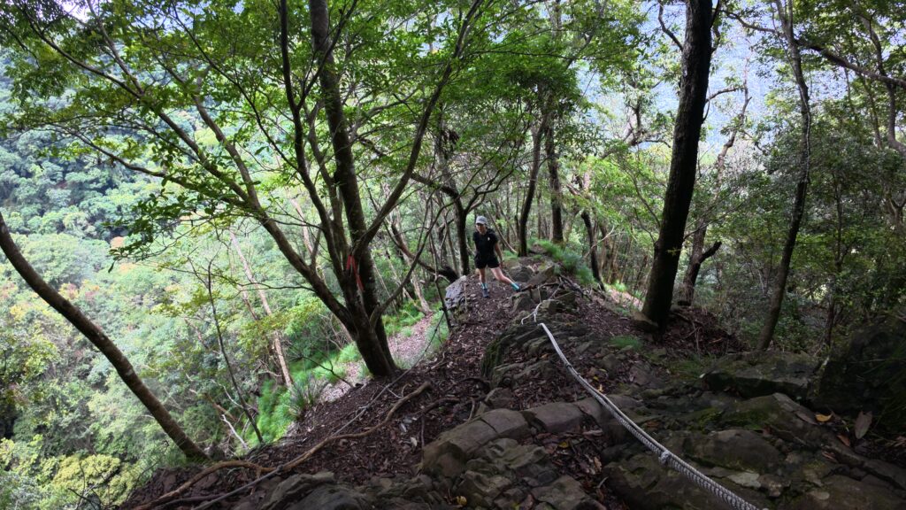 虎山登頂前路徑